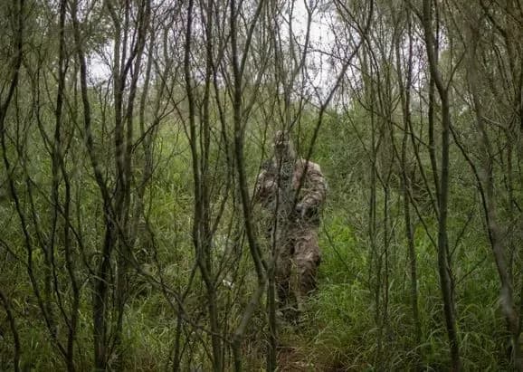 Бур'яни та кущі сповільнюють бойові дії для обох сторін - британська розвідка