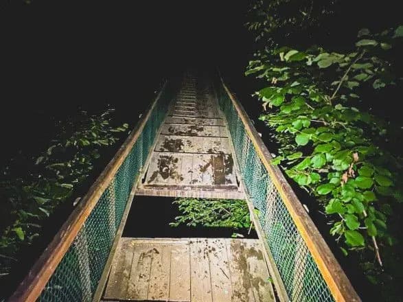 На Закарпатті провалився міст: одна жінка загинула, дві постраждали