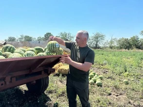 Очільник Одеської ОВА Кіпер зібрав перші одеські кавуни