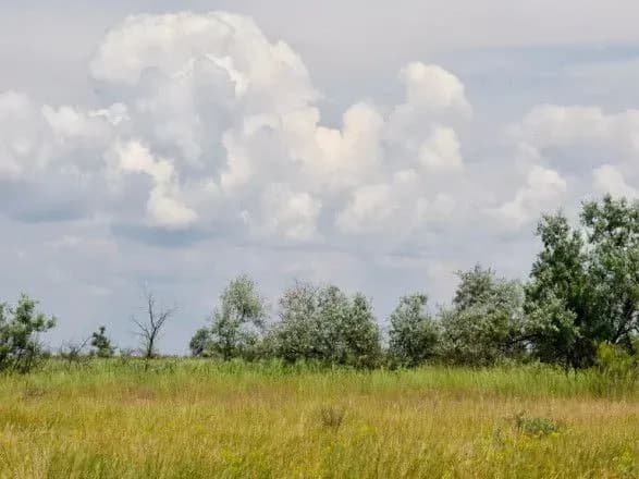 На окупованому острові Джарилгач вже пʼять днів палає цінна степова ділянка