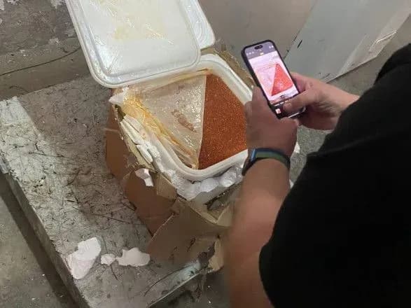 На кордоні з Польщею виявили контрафактних товарів на 5 млн грн: серед них - 700 кг червоної ікри