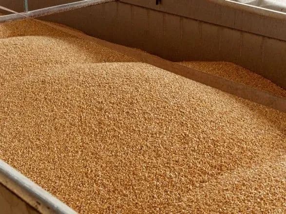 Reuters: росії доводиться покладатися на "тіньовий флот" для зерна