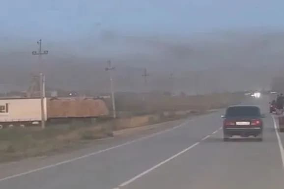 Хмари сарани атакували краснодарський край, астраханську область та калмикію