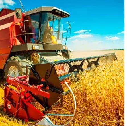 Кабмін встановив максимальні платежі для страхування сільськогосподарських культур