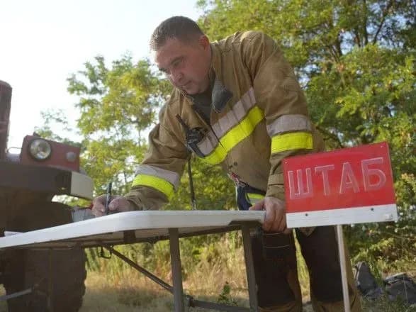 Масштабну пожежу в лісі на Миколаївщині локалізували