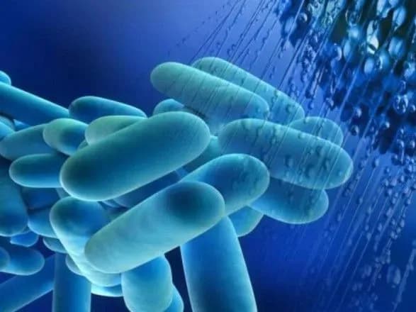 У Польщі шириться рідкісна хвороба легіонерів: загинуло вже 11 людей