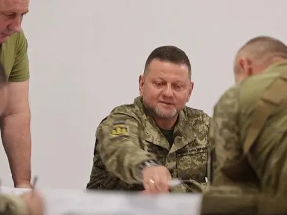 Залужний узгодив із військовими подальші дії ЗСУ на південному фронті