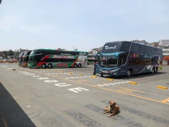 Щонайменше 24 людини загинули в Перу через падіння автобуса в ущелину