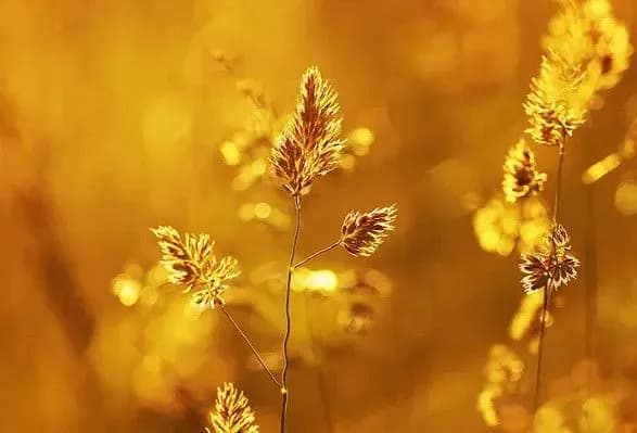 Ще три дні літа у вересні: синоптики обіцяють до 30° тепла