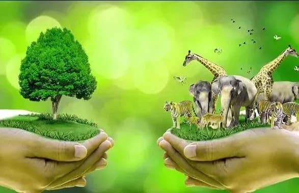 6 жовтня: Всесвітній день охорони місць проживання, День усмішки