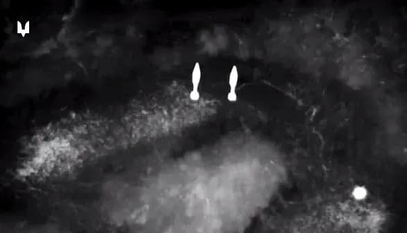 Авдіївка: українські військові знищили 8 одиниць важкої техніки та десятки окупантів