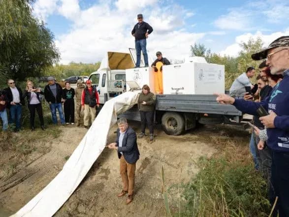В Дунай випустили декілька тисяч осетрових видів риб