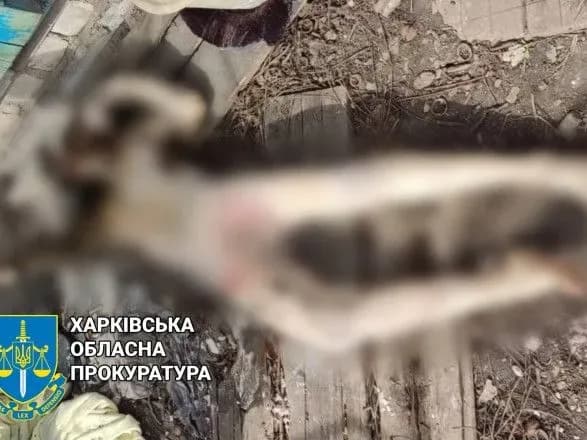 На Харківщині чоловік побив свою співмешканку до смерті та заховав тіло у вигрібній ямі