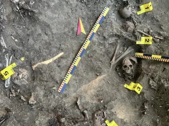 Польща попросила дозвіл ексгумувати останки поляків, які виявили в Україні