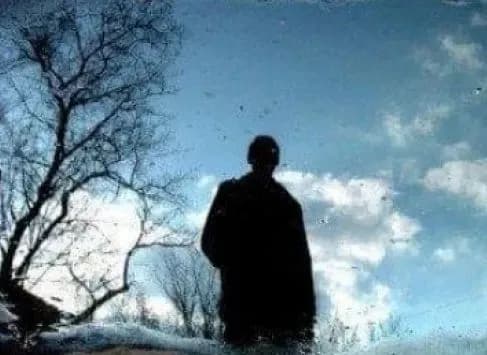 День отшельника, Международный день ухода и поддержки. Что еще можно отметить 29 октября