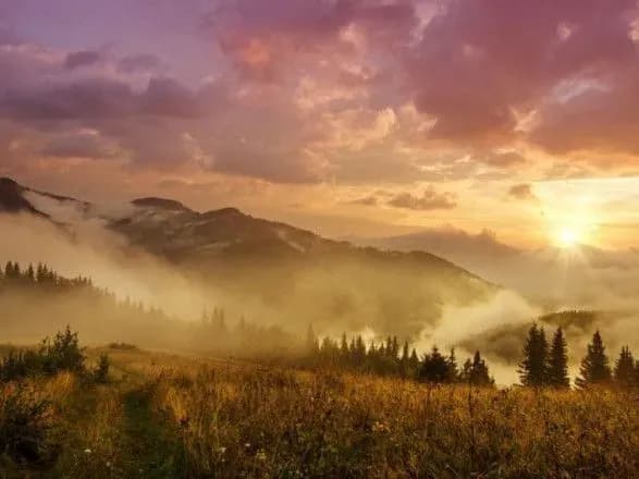 Міжнародний день біосферних заповідників, Всесвітній день косплея. Що ще можна відзначити 3 листопада