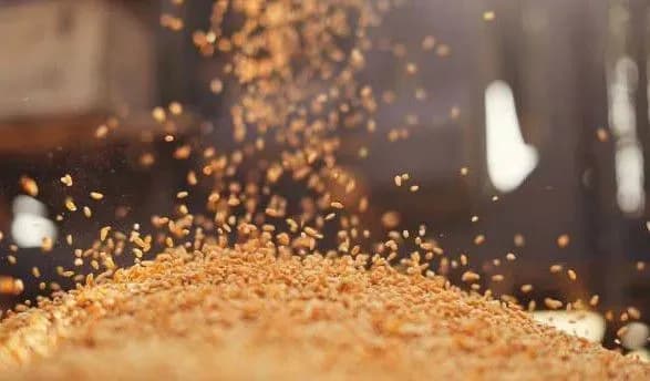 Нові правила агроекспорту: критерії для верифікації експортерів розширили