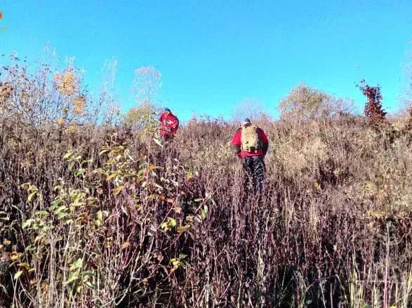 Зник два дні тому: на Закарпатті знайшли мертвим грибника, який заблукав у лісі