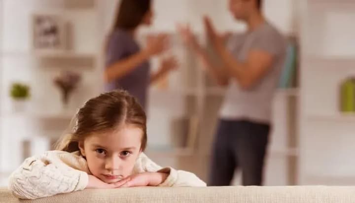 Rada Adopts Draft Laws on Combating Domestic Violence in the First Reading: Interior Ministry Explains What Will Change