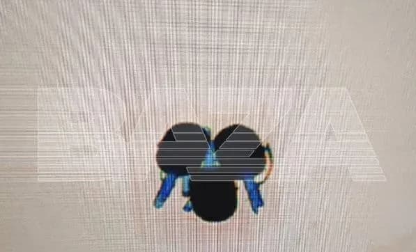 У рф евакуювали аеропорт через сумку з предметами, схожими на гранати