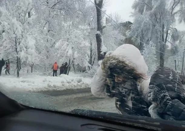 Occupants do not eliminate the consequences of bad weather in the temporarily occupied territories - The Resistance Center