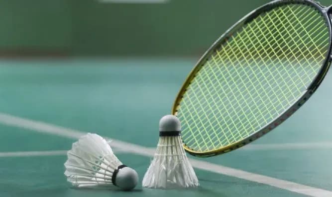 Членство рф во Всемирной федерации бадминтона приостановлено 