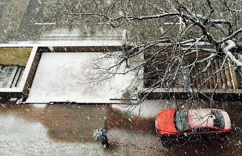 Сніг, дощ і до 15° тепла: синоптики дали прогноз на перші три дні зими