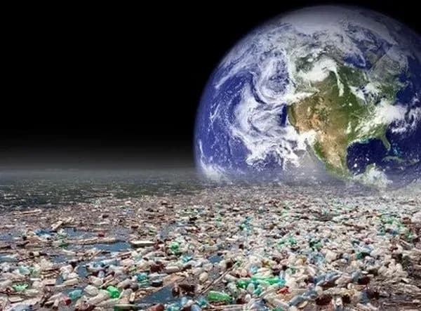 2 грудня: Всесвітній день боротьби із забрудненням навколишнього середовища, День безпородних собак