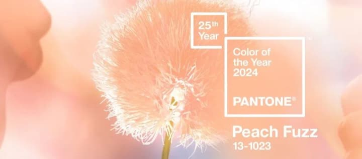 Pantone назвав головний колір 2024 року