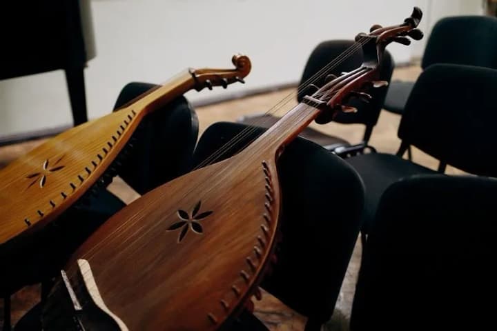 The team of the CF "MHP - to the Community" presented a bandura to the Kharkiv kobza workshop 