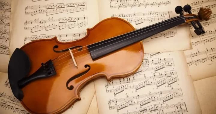 December 13: International Violin Day, Choose a Pathologist Friend Day