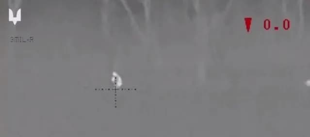 Snipers eliminated an enemy reconnaissance group: Ukrainian Special Forces demonstrate their work in Avdiivka sector