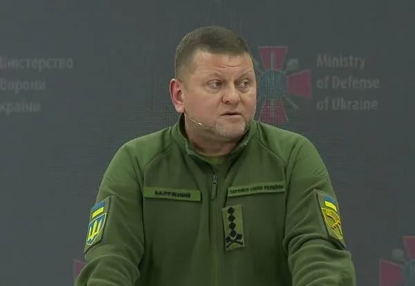 Zaluzhnyi said he was not satisfied with the work of the TCC