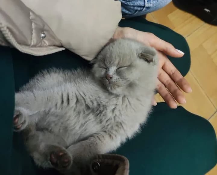 Удар рф по вокзалу Херсона: поранено декількох працівників залізниці, пасажири – в укритті