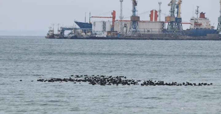 russian occupants are turning the port of Berdiansk into a military facility, deploying heavy equipment there