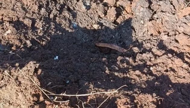 росіяни понад 126 разів обстрілювали Запорізьку область: одна людина загинула 