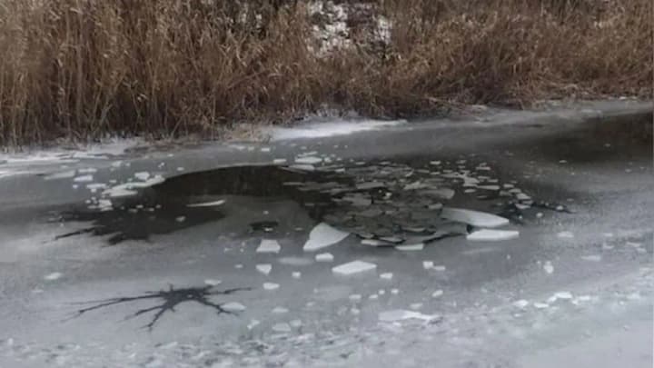 У москві знайдено мертвим 16-річного сина топ-менеджера "норнікеля"