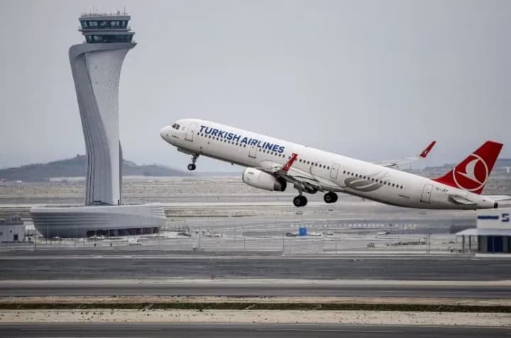 В Стамбуле самолет прервал взлет из-за кота