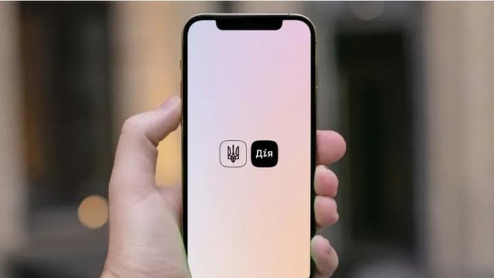 229 thousand individual entrepreneurs opened businesses through Diia over the year