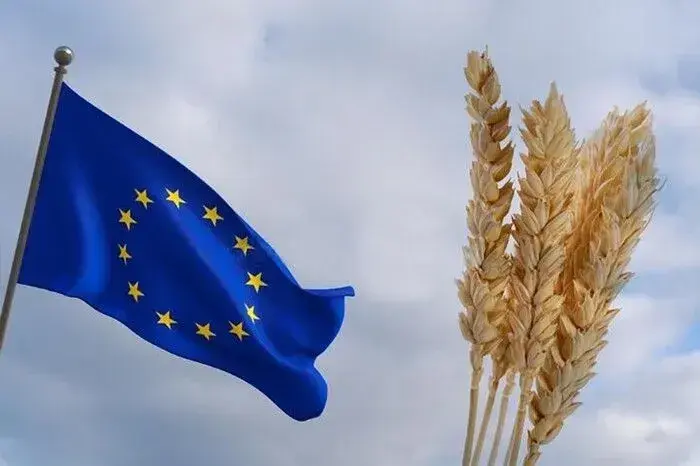 Five EU countries demand that the European Commission impose a duty on Ukrainian grain