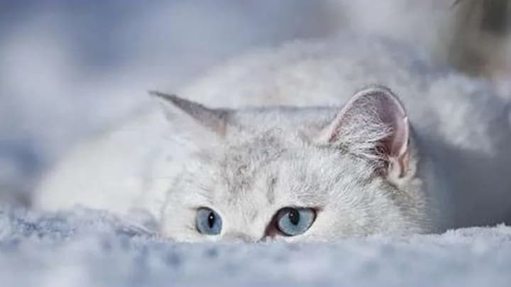 Wet snow, rains and up to 20° below zero: what weather awaits Ukrainians in the next two days