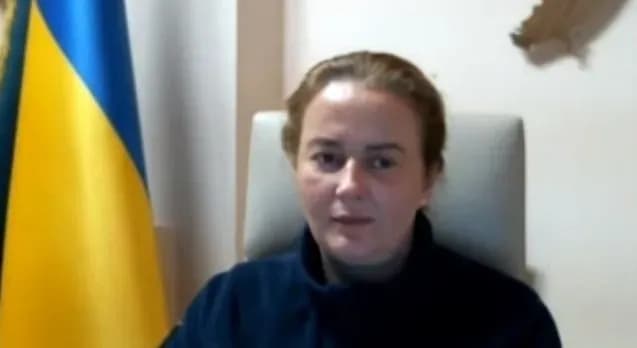 Инициатива президента о множественном гражданстве не требует изменений Конституции