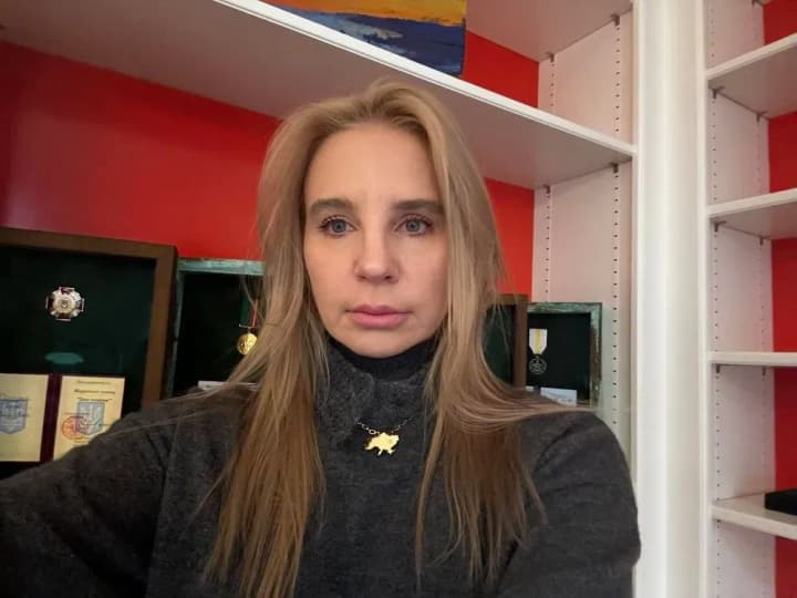 Податкова має визначитися, вона на боці добра чи зла, закону чи беззаконня - акціонер банку "Конкорд" Сосєдка