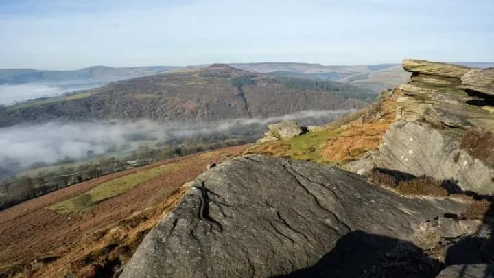 The UK recorded the hottest January temperature on record - 19.6°C