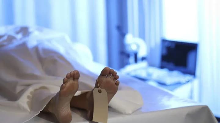 A criminal network involved in the illegal sale of corpses has been uncovered in Valencia