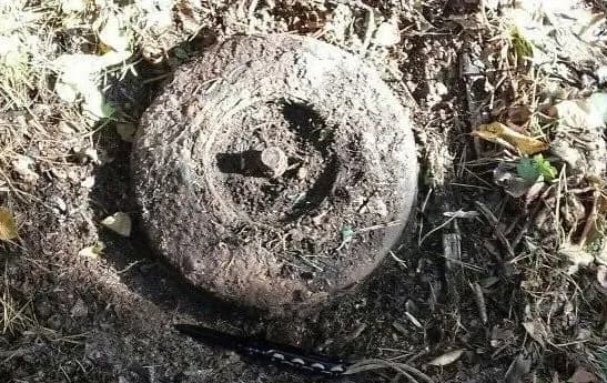 Підірвалися на власній міні: в бєлгородській області твоє військових рф отримали поранення внаслідок вибуху