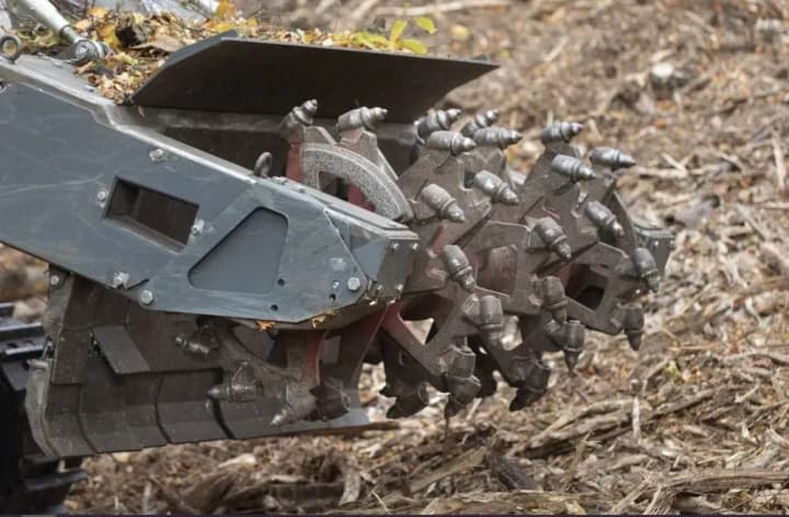 In January, more than 21 thousand hectares were surveyed as part of land demining activities