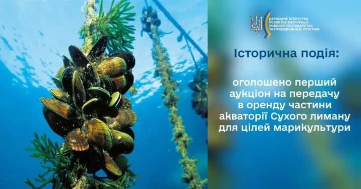 Ukraine will hold the first auction to lease part of the Sukhoi Estuary for growing shellfish and shrimp