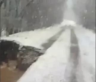 На Чернігівщині через підняття рівня води у річці зруйновано частину дороги - Чаус