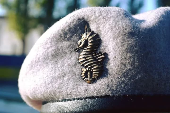 ССО показали зачистку наблюдательных постов врага на Южном направлении